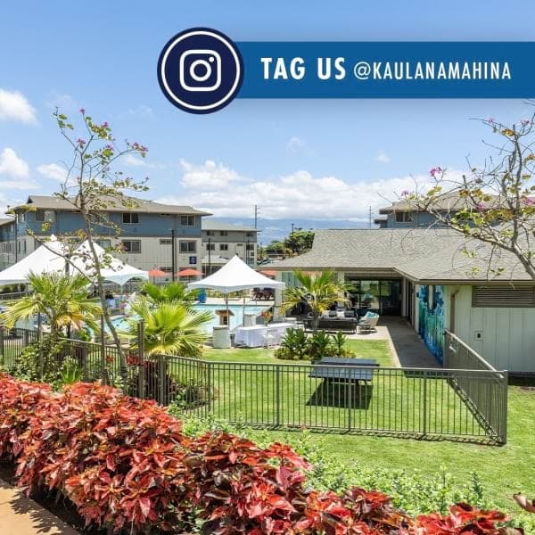 Kaulana Mahina Workforce Housing Image 1
